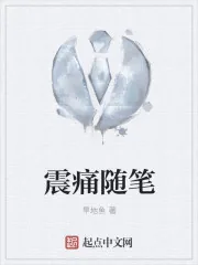 《震痛随笔》小说封面