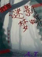 《谜影梦蝶》小说封面
