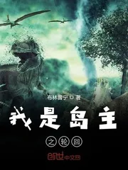 《我是岛主之轮回》小说封面