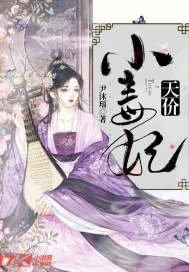 《天价小毒妃》小说封面