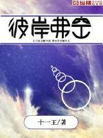 《彼岸弗空》小说封面