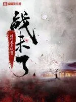 《战未了》小说封面