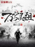 《万穹灵祖》小说封面