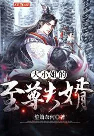 《大小姐的至尊夫婿》小说封面
