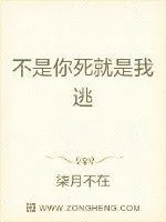 《不是你死就是我逃》小说封面