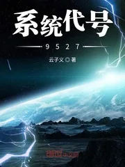《系统代号9527》小说封面