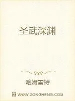《圣武深渊》小说封面