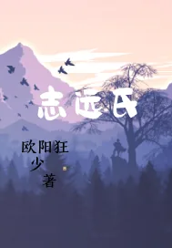 《志远氏》小说封面