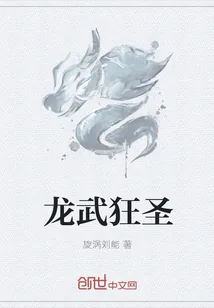 《龙武狂圣》小说封面