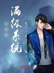 《全自动满级系统》小说封面
