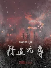 《丹道元尊》小说封面