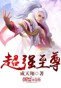 《超强至尊》小说封面