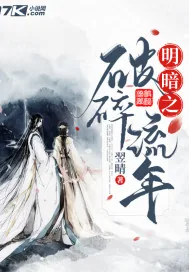 《明暗之破碎流年》小说封面