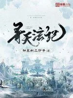 《寻天泫记》小说封面