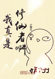 《我真是修仙者啊》小说封面