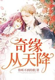 《奇缘从天降》小说封面