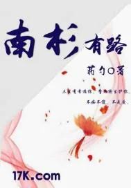《南杉有路》小说封面