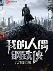 《我的人偶钢铁侠》小说封面