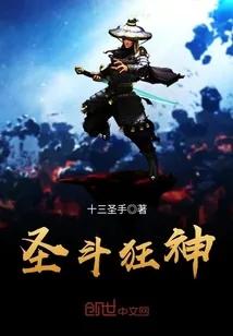 《圣斗狂神》小说封面