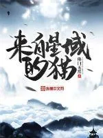 《来自星域的猫》小说封面