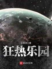 《狂热乐园》小说封面