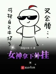 《女神拿下外挂》小说封面
