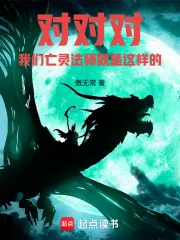 《对对对，我们亡灵法师就是这样的》小说封面