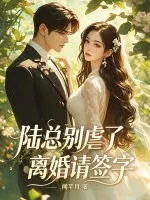 《陆总别虐了，离婚请签字》小说封面