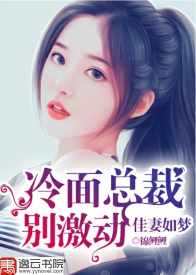 《佳妻如梦:冷面总裁别激动》小说封面