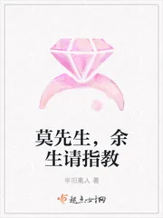 《莫先生,余生请指教》小说封面