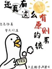 《还真有这么有原则的系统》小说封面