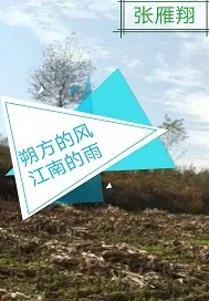 《朔方的风江南的雨》小说封面