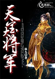 《天宝大将军》小说封面