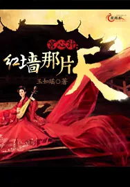 《宫心计：红墙那片天》小说封面