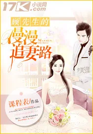 《顾先生的漫漫追妻路》小说封面