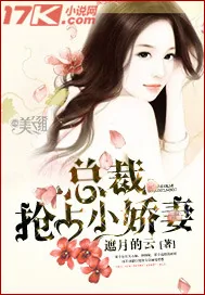 《总裁抢占小娇妻》小说封面