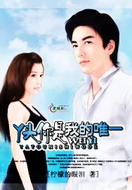 《丫头你是我的唯一》小说封面