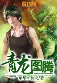 《青龙图腾》小说封面