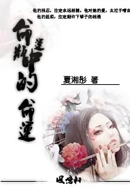 《命运瓶中的命运》小说封面