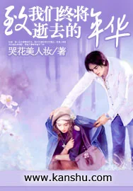 《致我们终将逝去的年华》小说封面