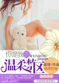 《你是我的温柔禁区》小说封面