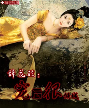 《辞花破:宠后很倾城》小说封面