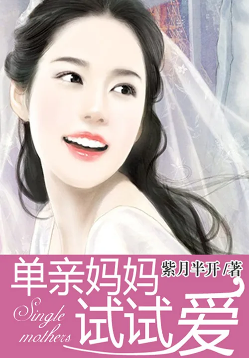 《单亲妈咪试试爱》小说封面