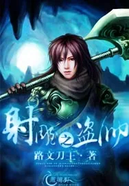 《射雕之盗帅》小说封面