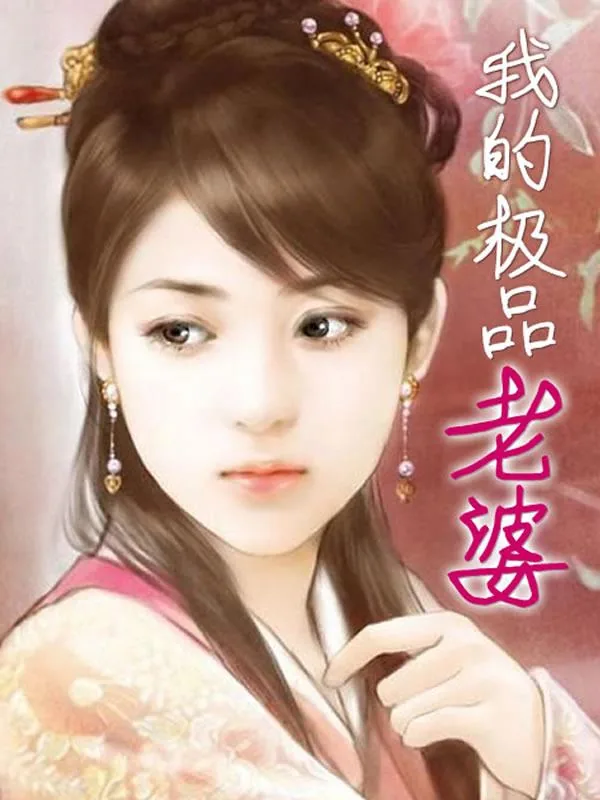 《我的极品老婆》小说封面