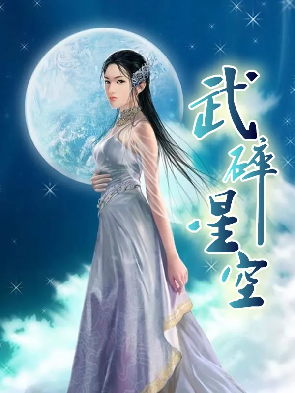 《武碎星空》小说封面