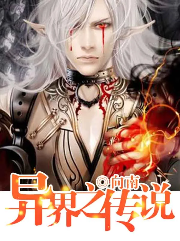 《异界之传说》小说封面