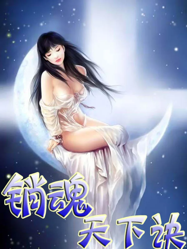 《销魂天下诀》小说封面