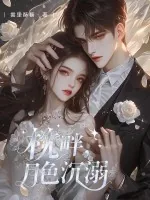 《枕畔，月色沉溺》小说封面