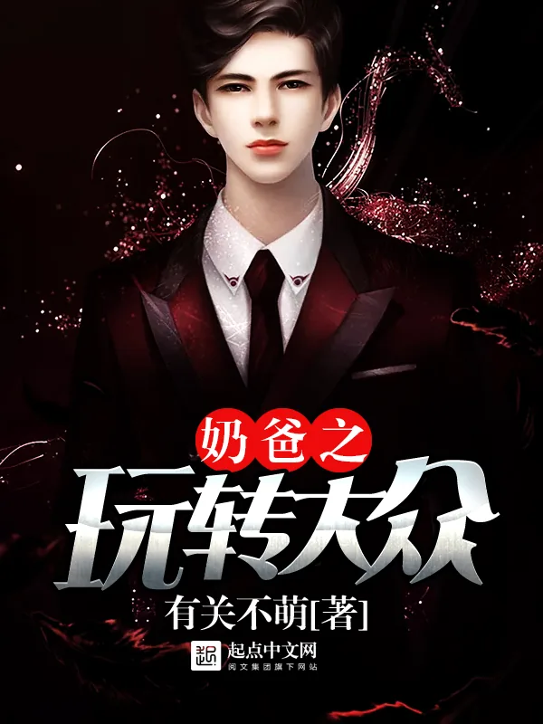 《奶爸之玩转大众》小说封面
